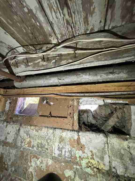 20241017_162932541_iOS (2).jpg